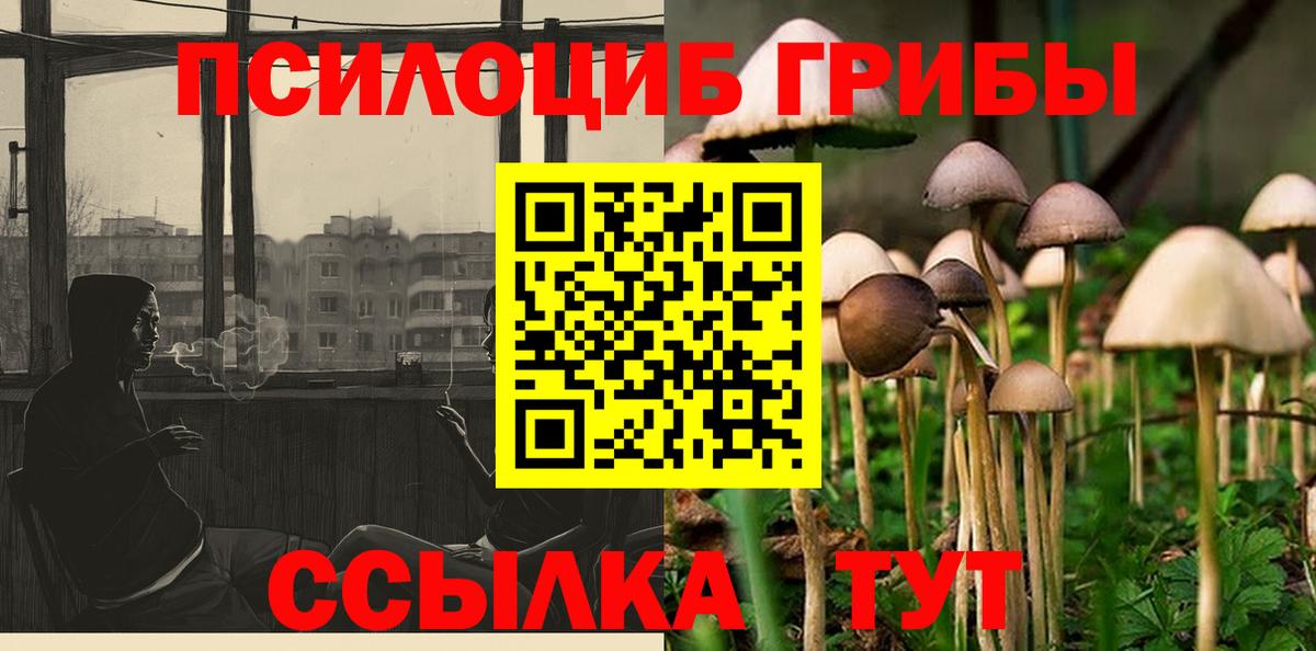 Скопин  Псилоцибиновые грибы MAGIC MUSHROOMS  Вход с VPN 
